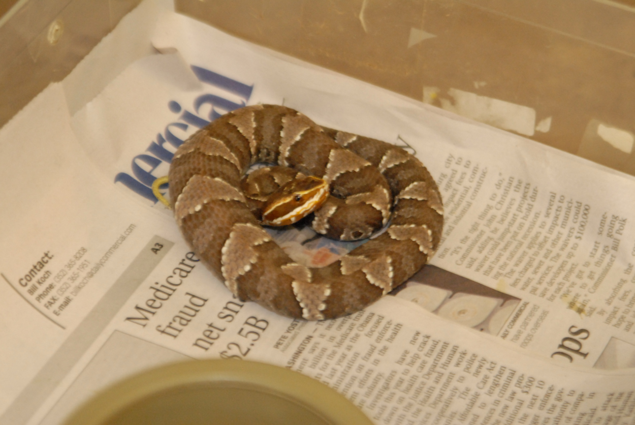 Cindy visits Glades Herps