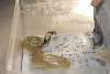 Cindy visits Glades Herps