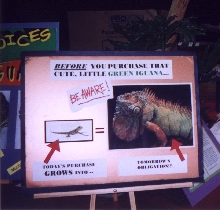 Iguana Squad Sign