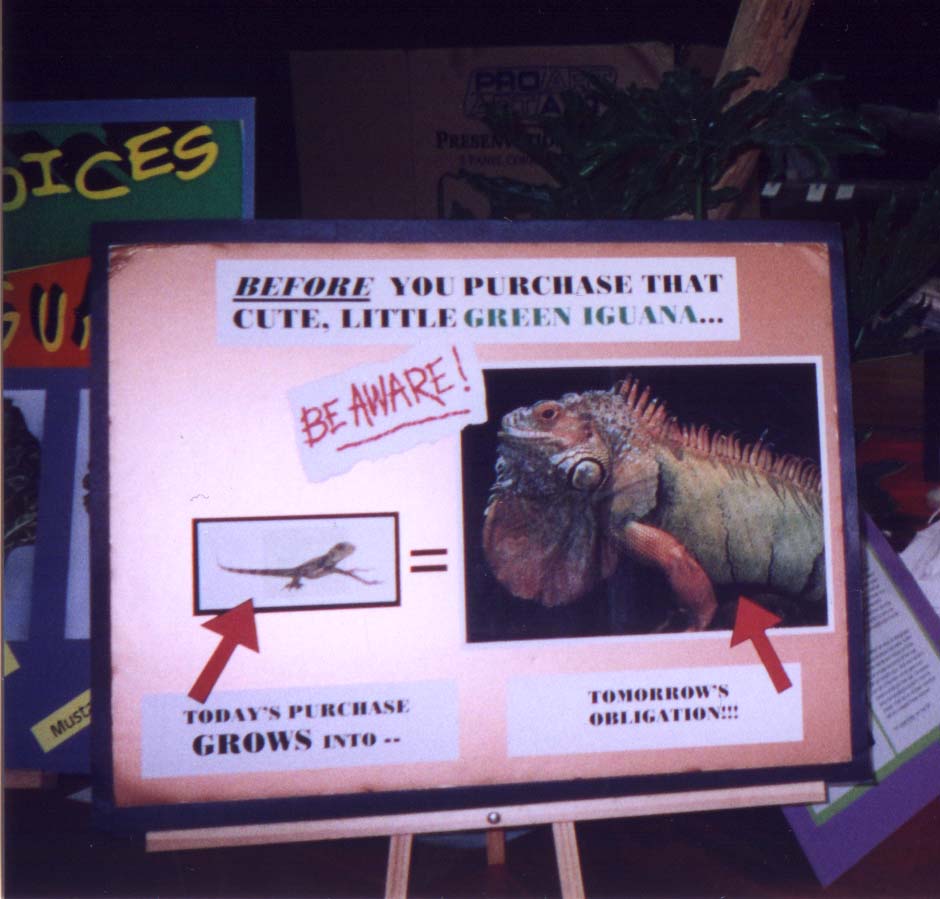 Iguana Squad Sign