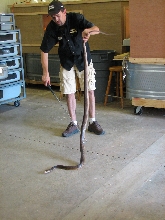 Reptile Gardens