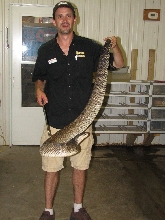 Reptile Gardens
