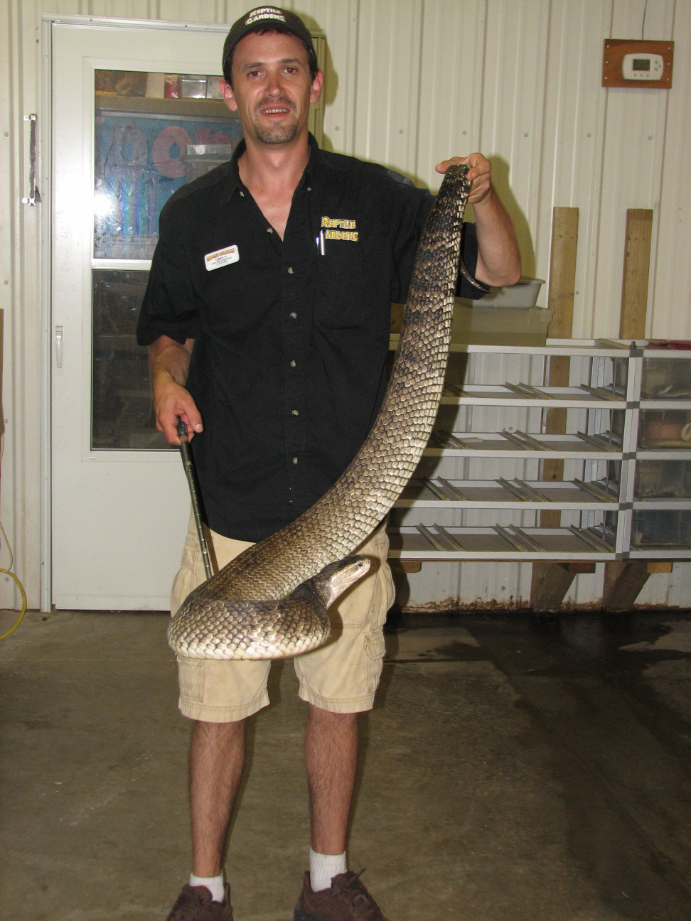 Reptile Gardens