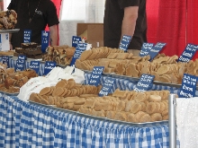 Chicagoland Family Pet Expo