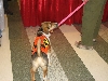 Chicagoland Family Pet Expo