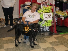 Chicagoland Family Pet Expo