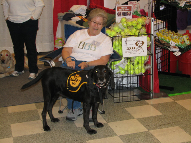 Chicagoland Family Pet Expo