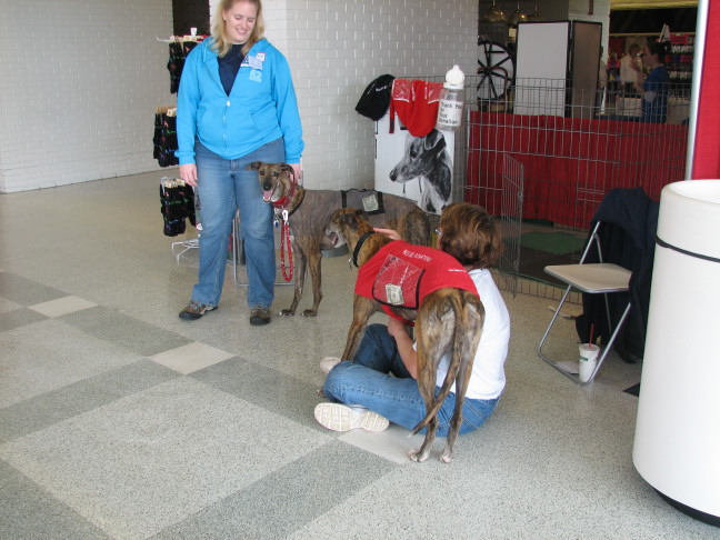 Chicagoland Family Pet Expo