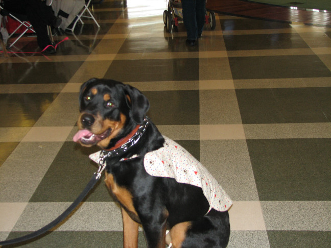 Chicagoland Family Pet Expo