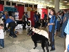 Chicagoland Family Pet Expo