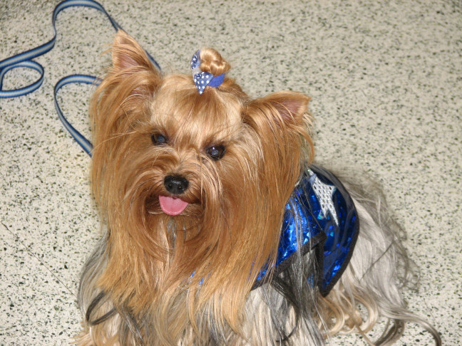 Chicagoland Family Pet Expo