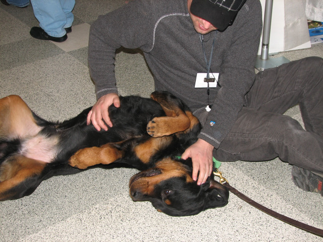 Chicagoland Family Pet Expo