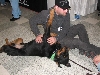 Chicagoland Family Pet Expo