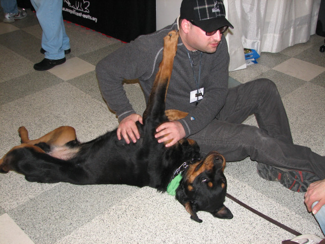 Chicagoland Family Pet Expo