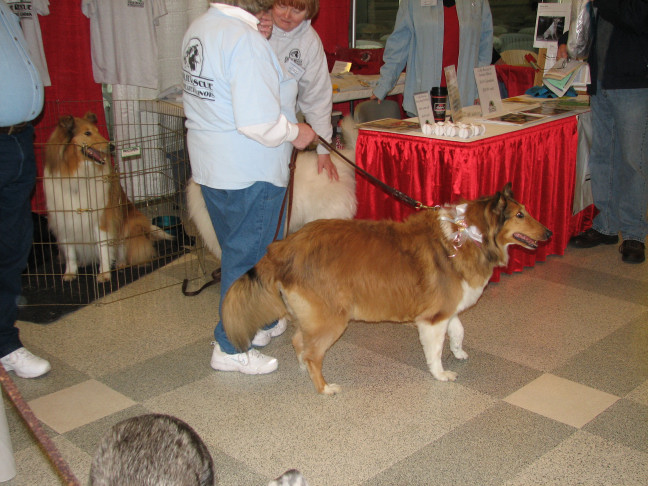 Chicagoland Family Pet Expo