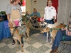 Chicagoland Family Pet Expo