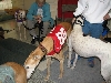 Chicagoland Family Pet Expo