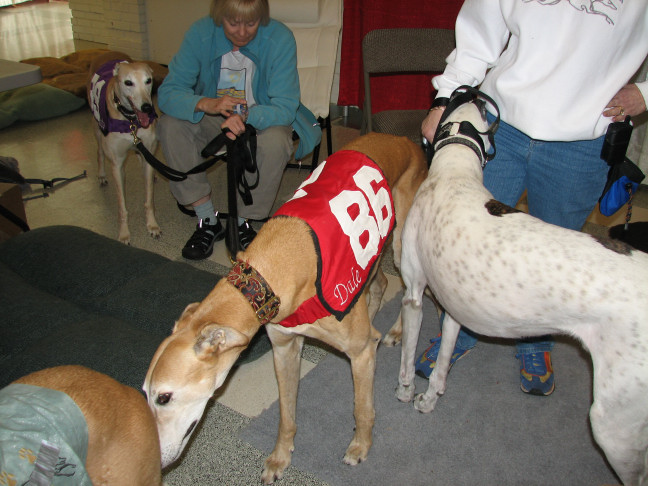 Chicagoland Family Pet Expo