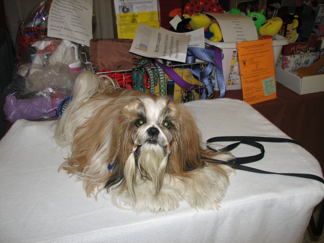 Chicagoland Family Pet Expo