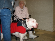 Chicagoland Family Pet Expo