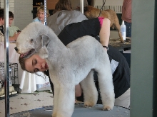 Chicagoland Family Pet Expo