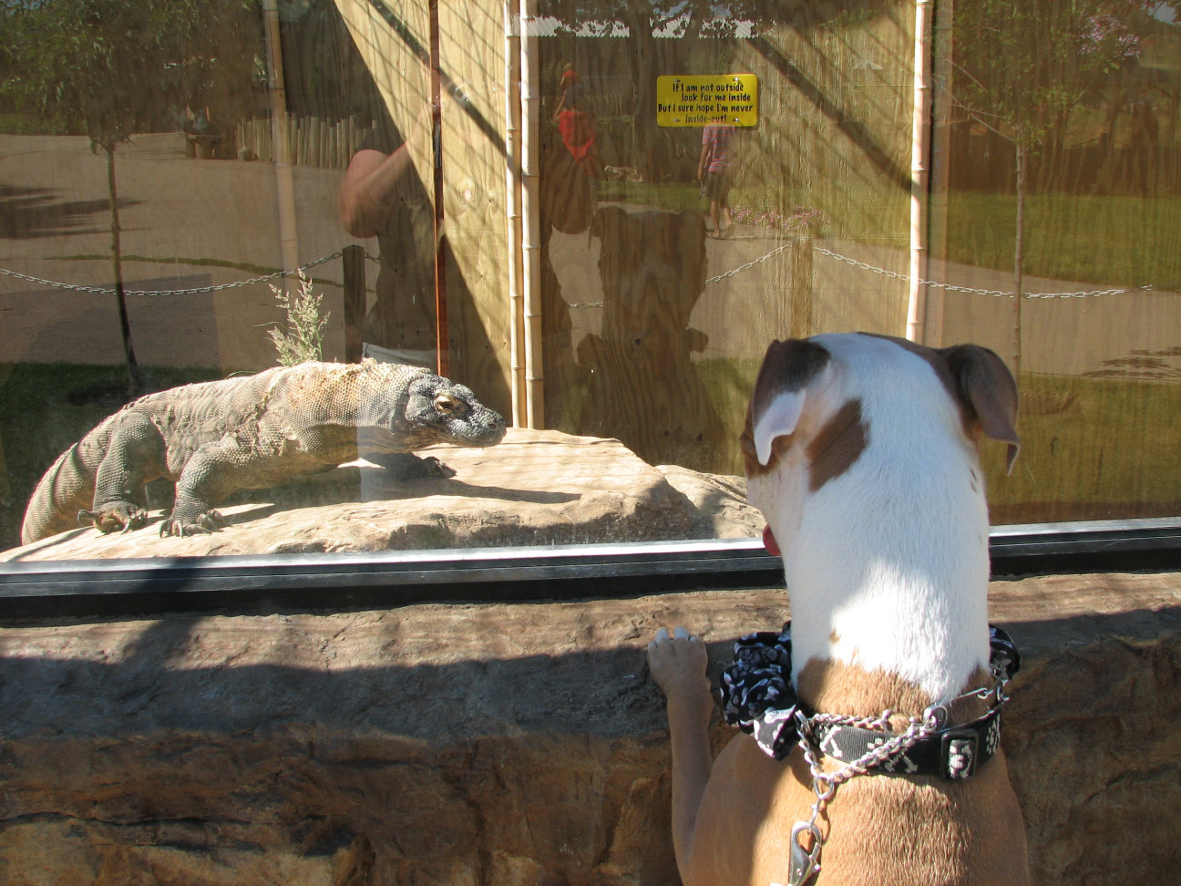 Reptile Gardens