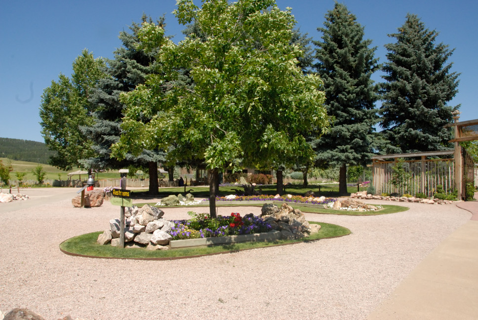 Reptile Gardens