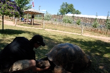 Reptile Gardens