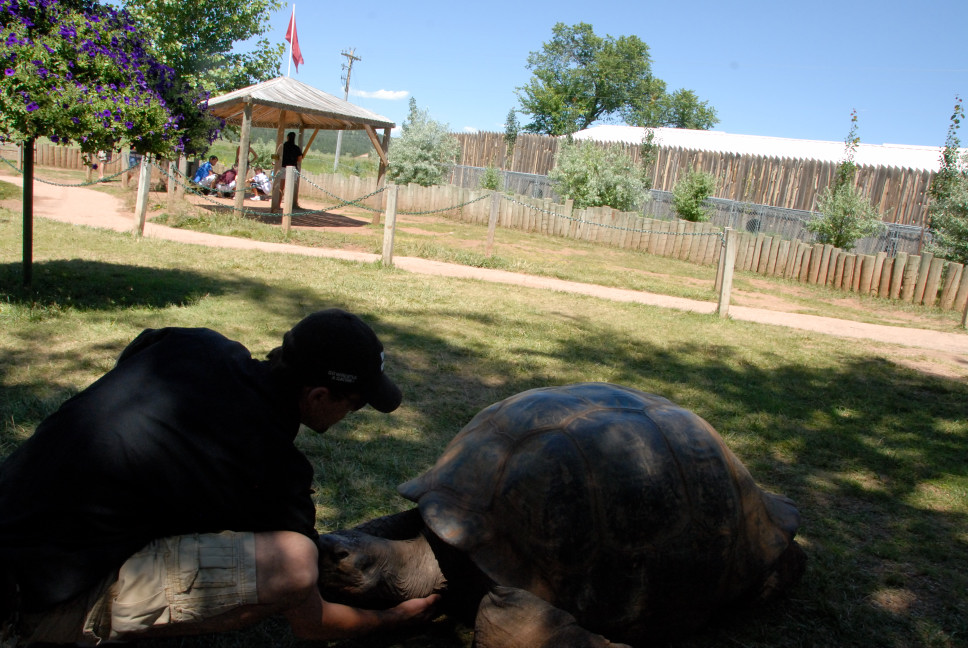 Reptile Gardens