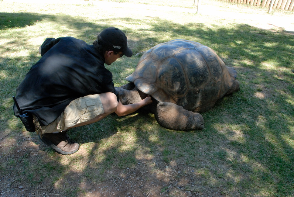 Reptile Gardens
