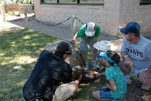 Reptile Gardens