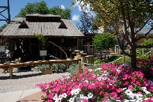 Reptile Gardens