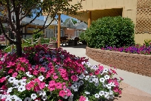 Reptile Gardens