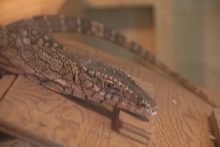 Reptile Gardens