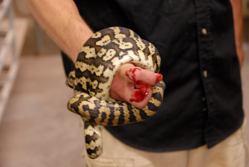 Reptile Gardens