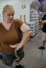 Reptile Gardens