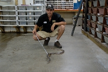Reptile Gardens