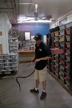 Reptile Gardens
