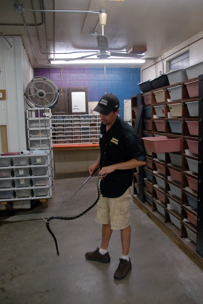 Reptile Gardens