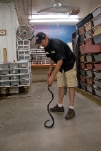 Reptile Gardens