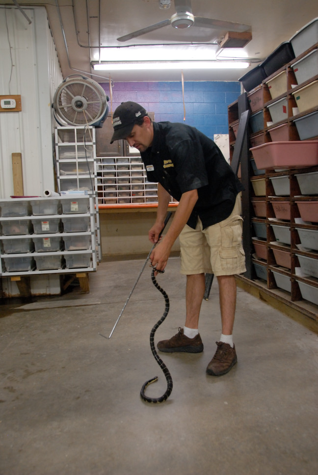 Reptile Gardens