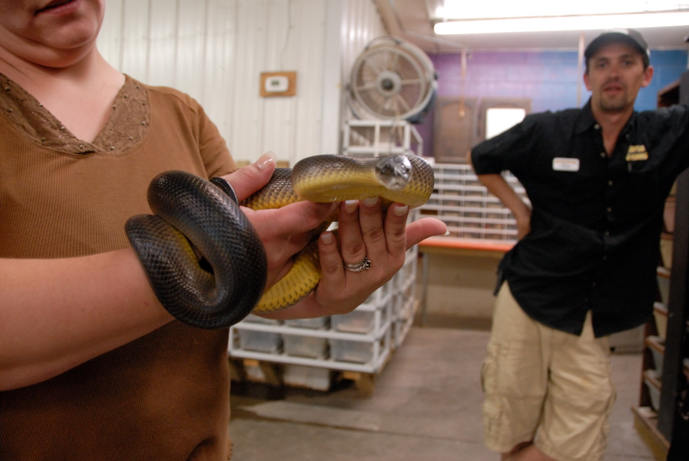 Reptile Gardens