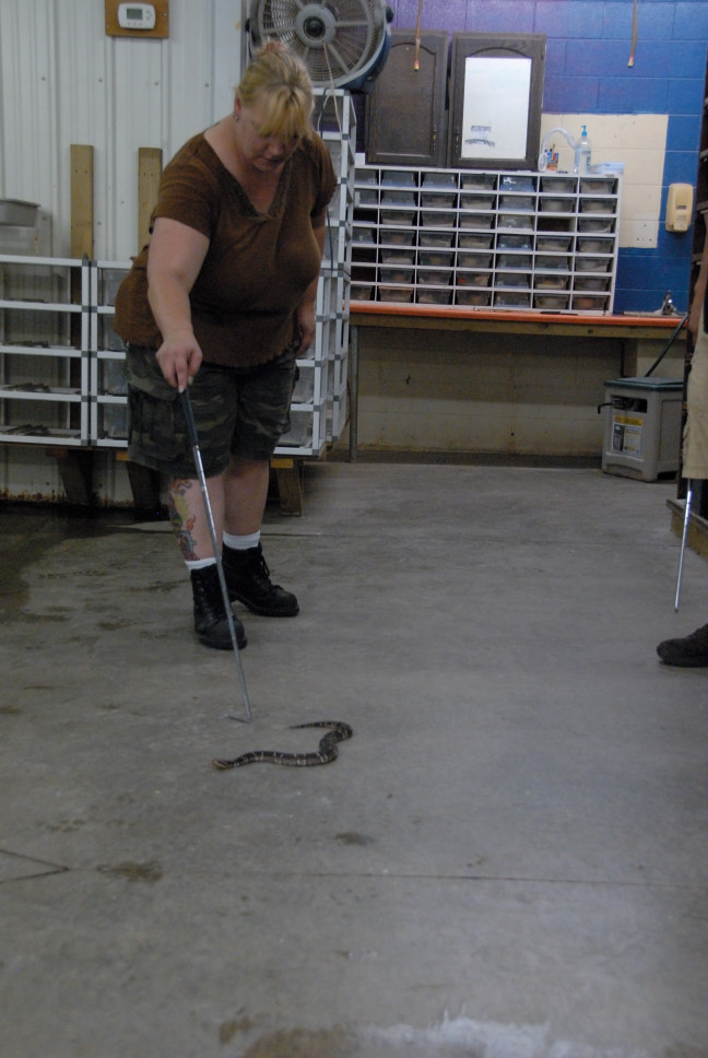 Reptile Gardens