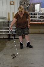 Reptile Gardens