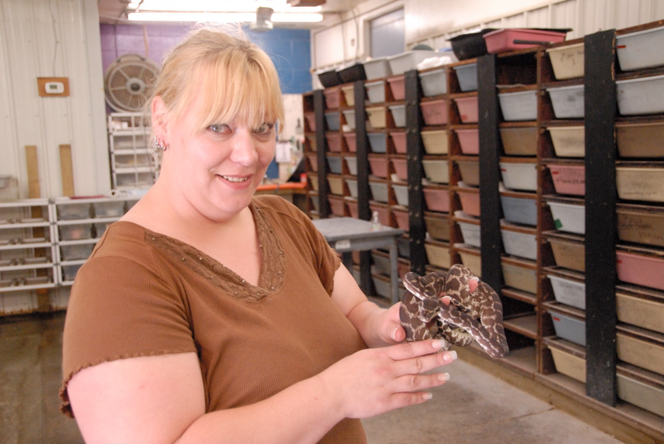 Reptile Gardens
