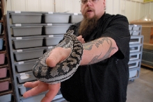 Reptile Gardens