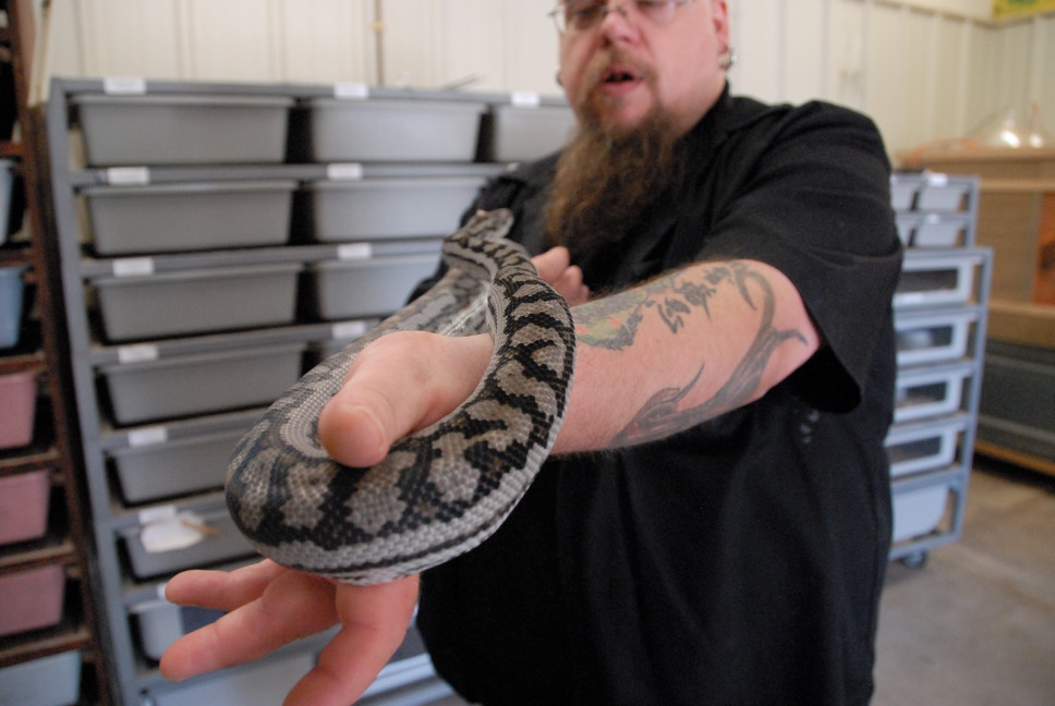 Reptile Gardens