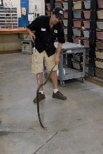 Reptile Gardens