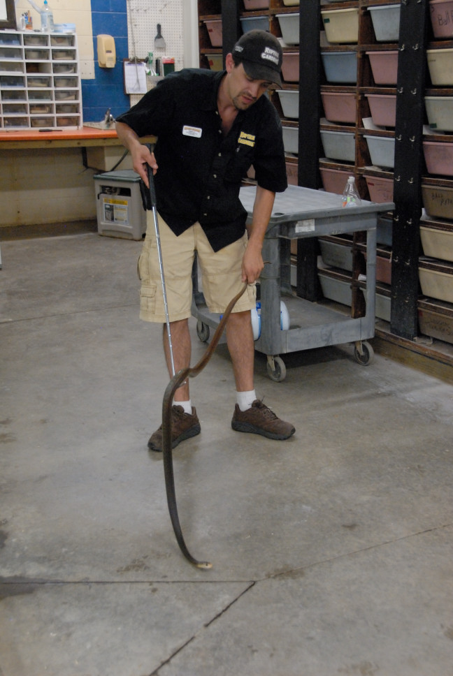 Reptile Gardens
