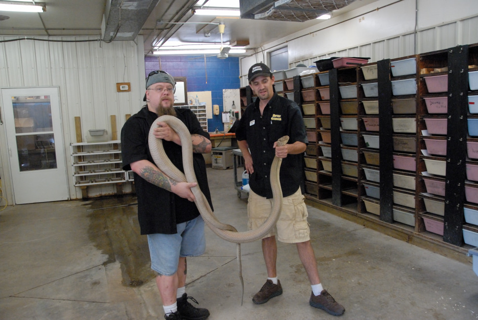 Reptile Gardens